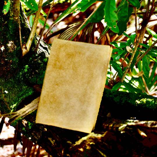 Handmade Bushcraft Field Note Deer Skin Notebook Diary (Includes Notebook)