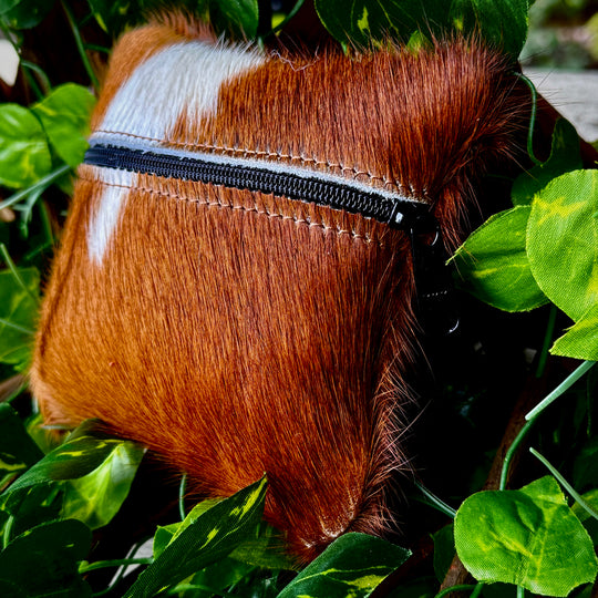 Hair-On Cowhide Small Utility Pouch (Set of two)
